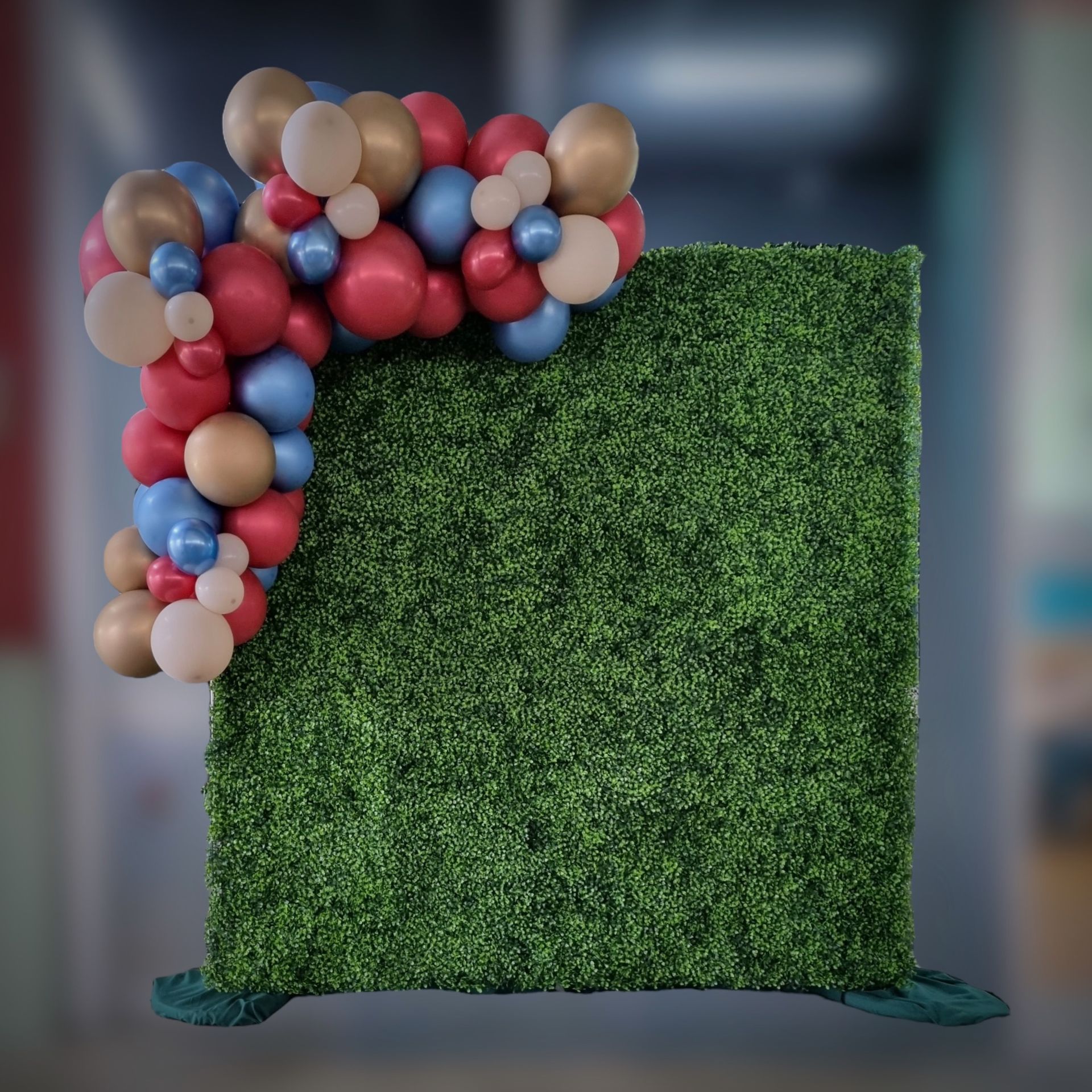 Box-hedge greenery wall with balloons attached