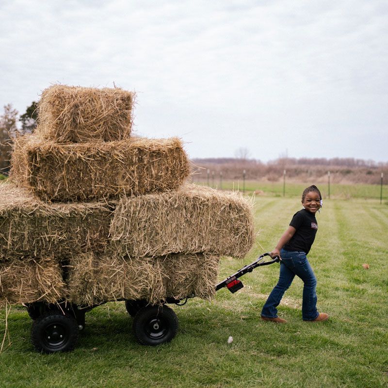 electric wagon for hauling feed buckets