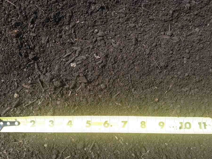 Soil close-up with a measuring tape along the bottom edge