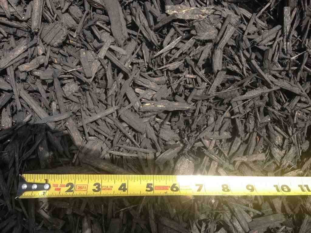 Measuring tape laid across dark wood chips on the ground