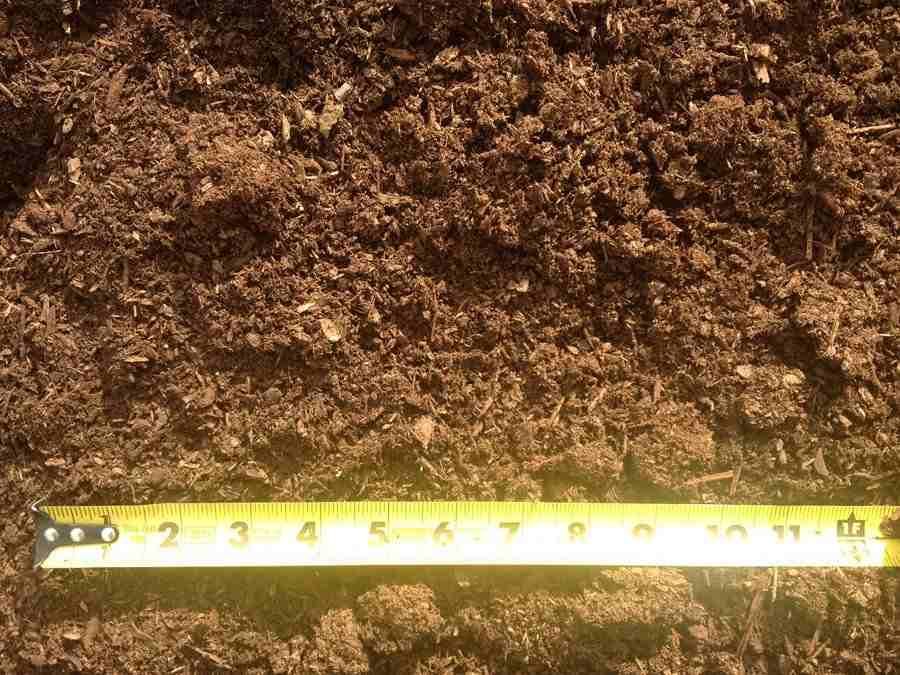 Yellow measuring tape laid across brown soil and mulch for scale.