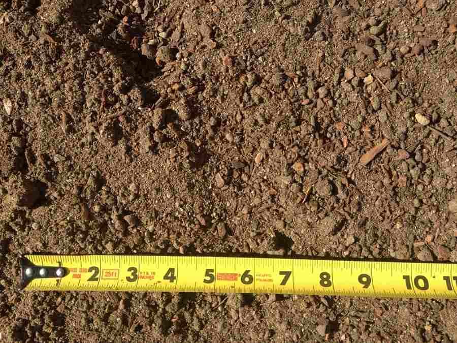 Close-up of brown soil beside a yellow measuring tape showing inches and feet.
