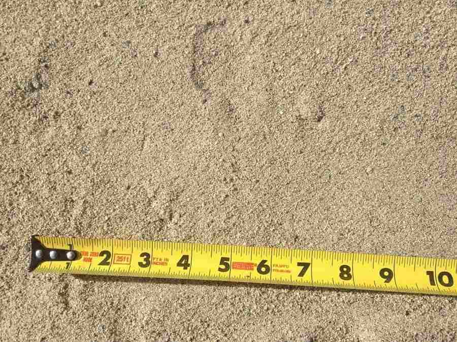 Yellow measuring tape laid across sandy ground, showing inches 2 to 10.