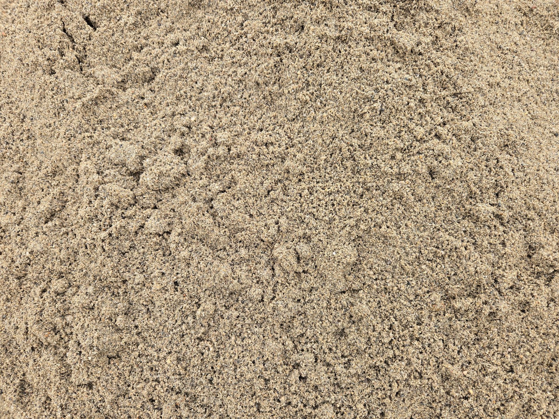 Close-up of tan, granular sand or soil texture filling the frame.