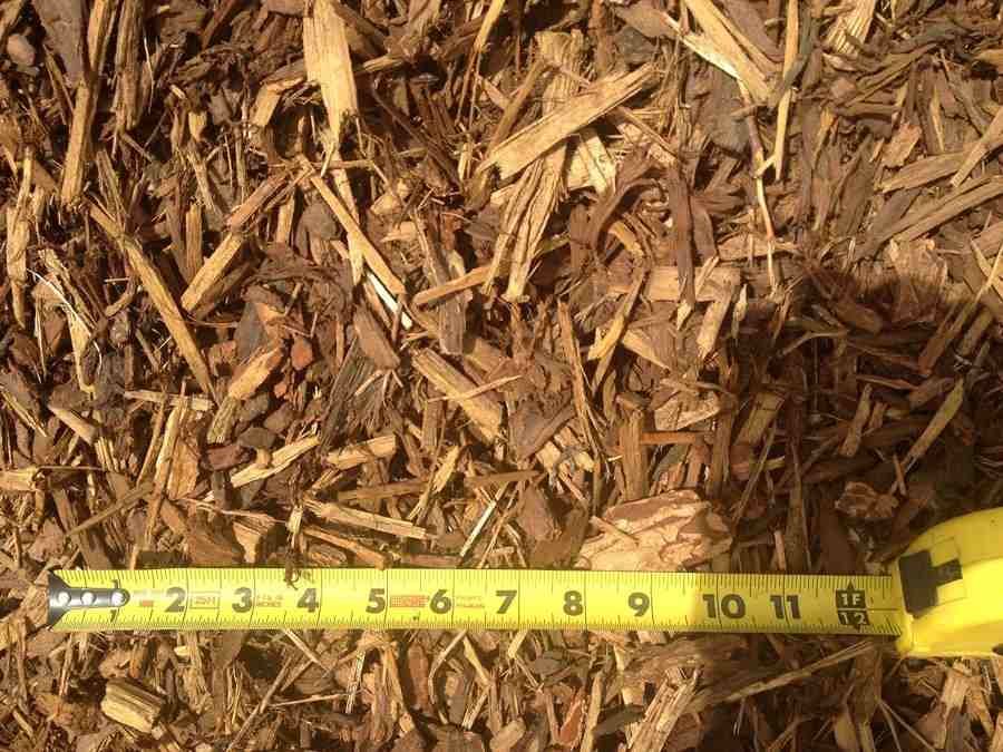 Yellow tape measure laid across brown wood chips, measuring about 12 inches.