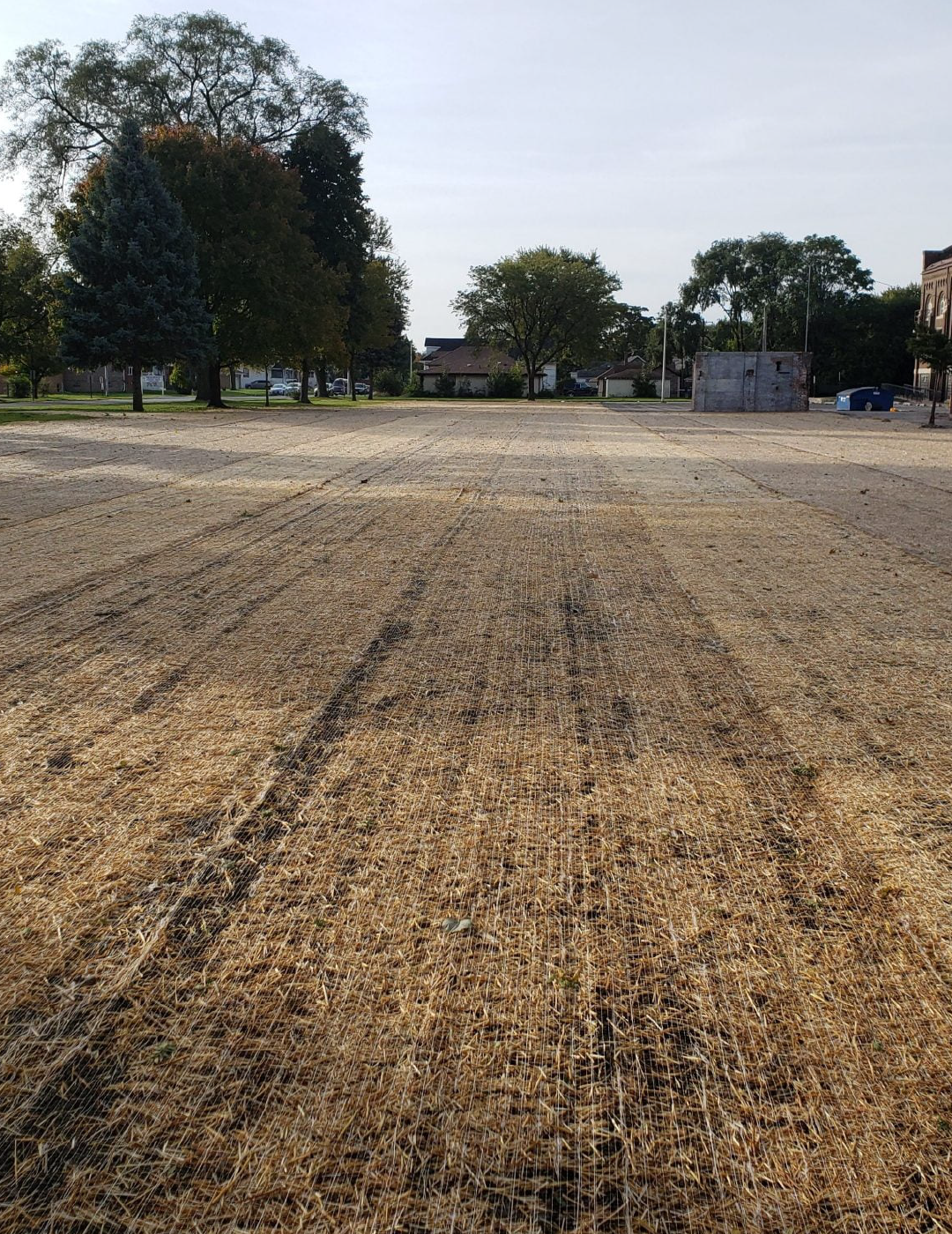 A field of dry grass with trees in the background