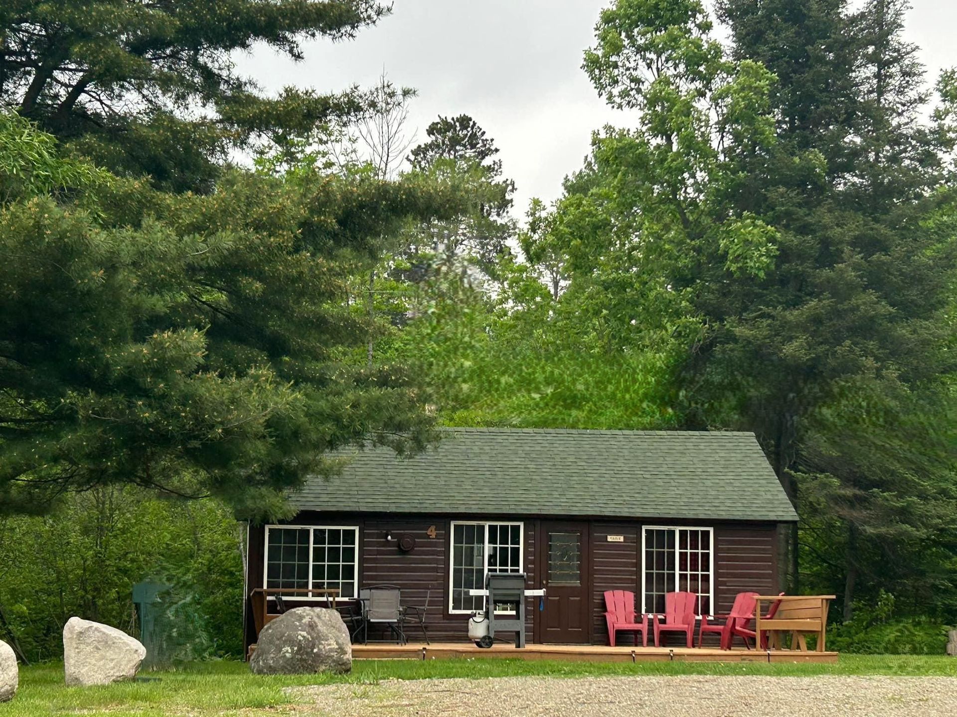 a small house with a green roof is sitting in the middle of a forest .