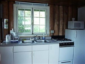 a kitchen with a sink , stove , refrigerator and microwave .