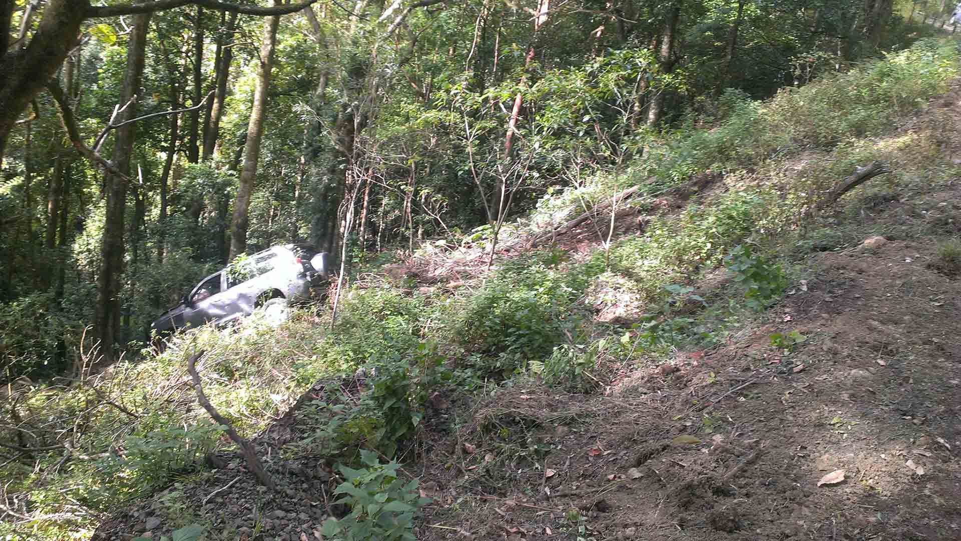 A Car Is Going Down a Hill in The Woods in An Accident — Alpine Towing Services in Lismore, NSW