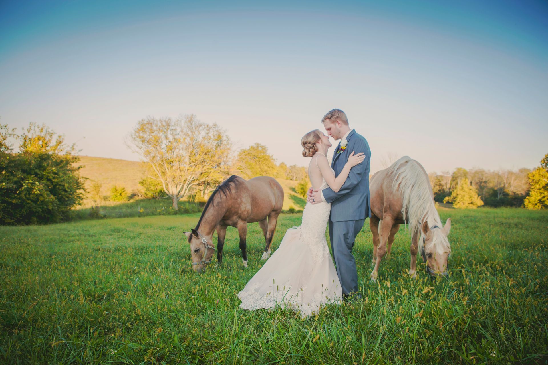 Couple embracing in a grassy field at sunset, with two horses grazing nearby.