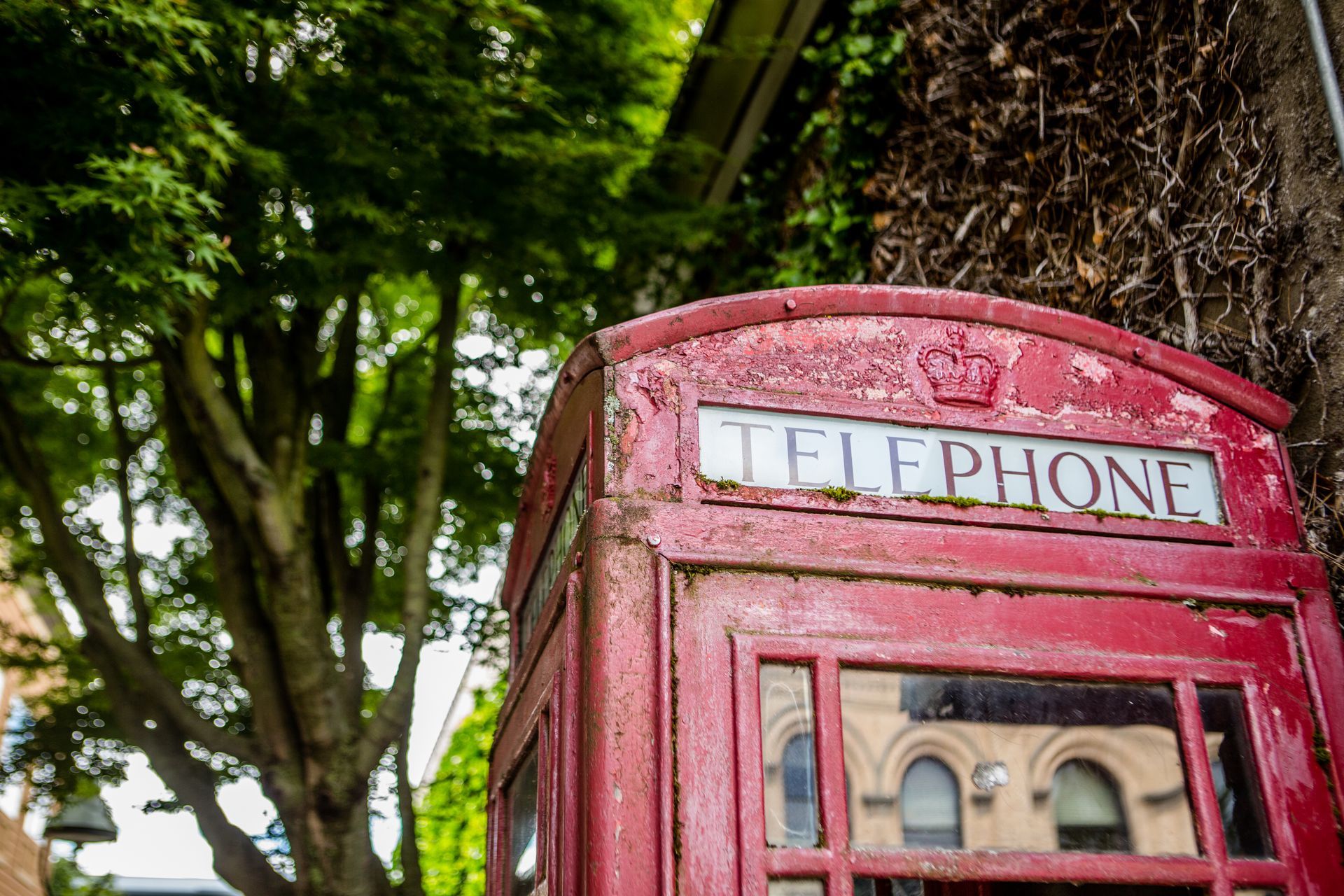 Red telephone booth beside a tree in a leafy outdoor setting
