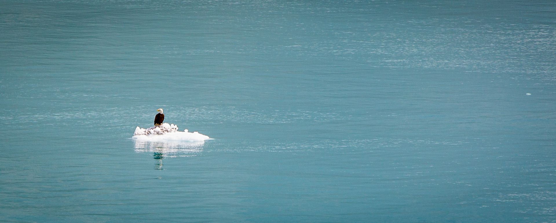 Person floating on a small white raft in calm blue water