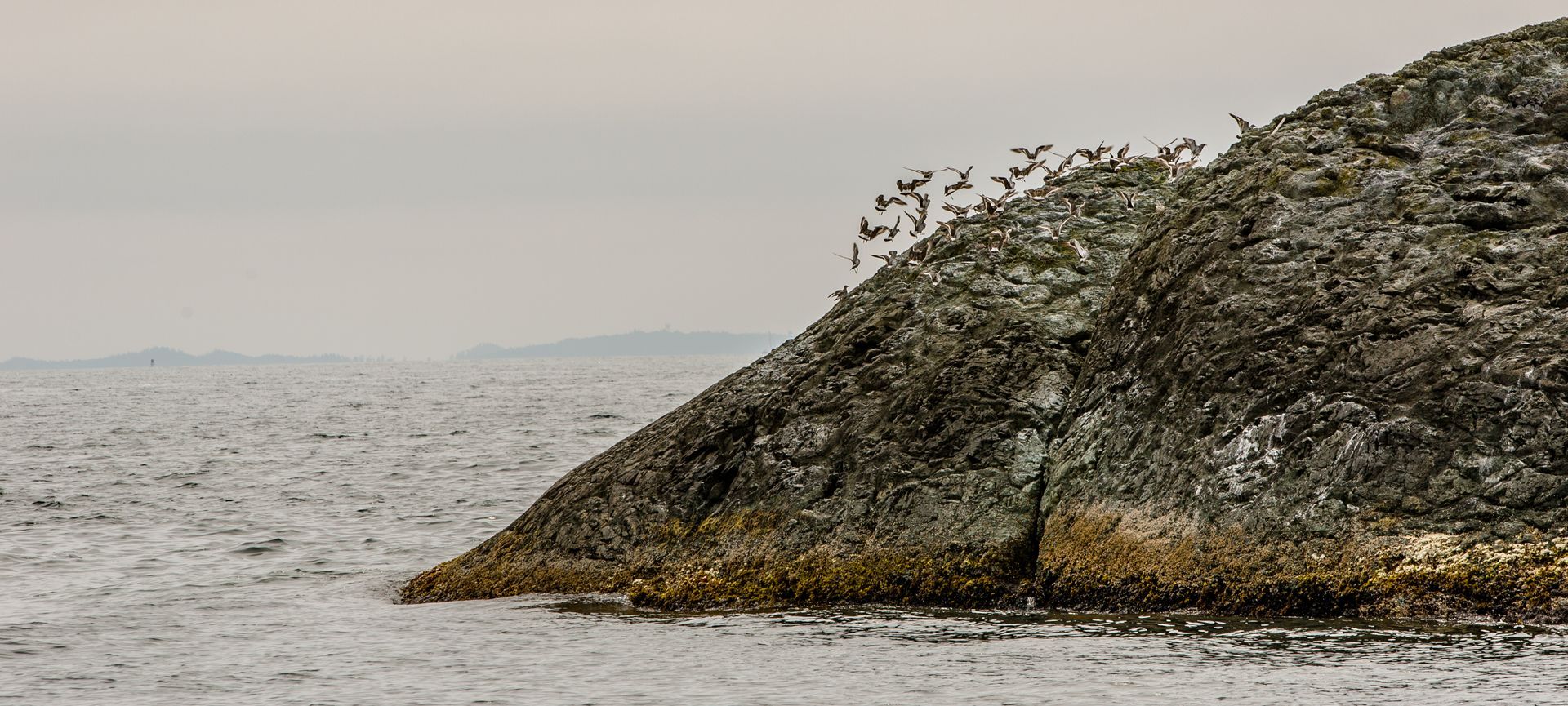 Rocky shoreline beside calm gray water under an overcast sky