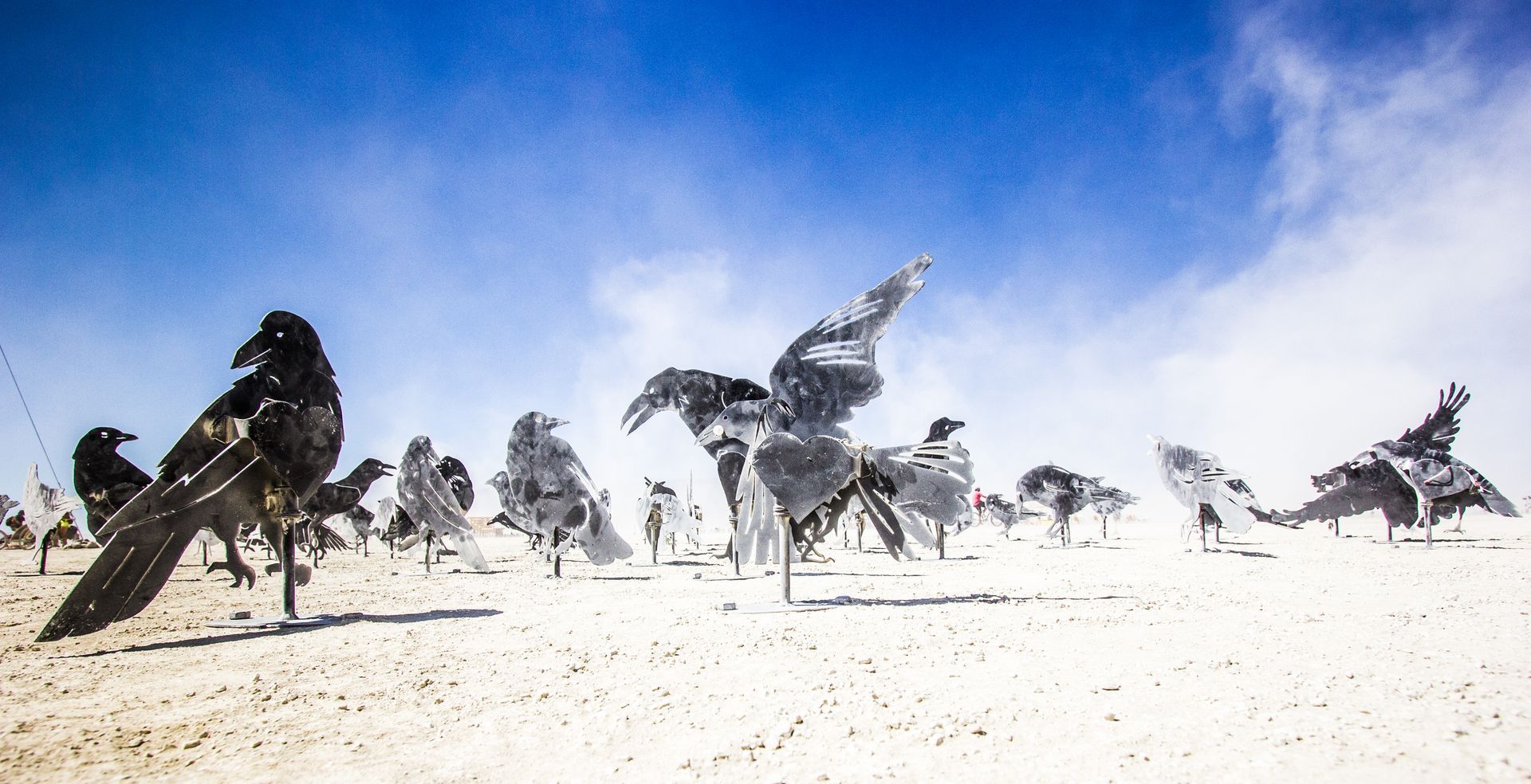 Birds flying and standing on a bright sandy beach under a blue sky with wispy clouds
