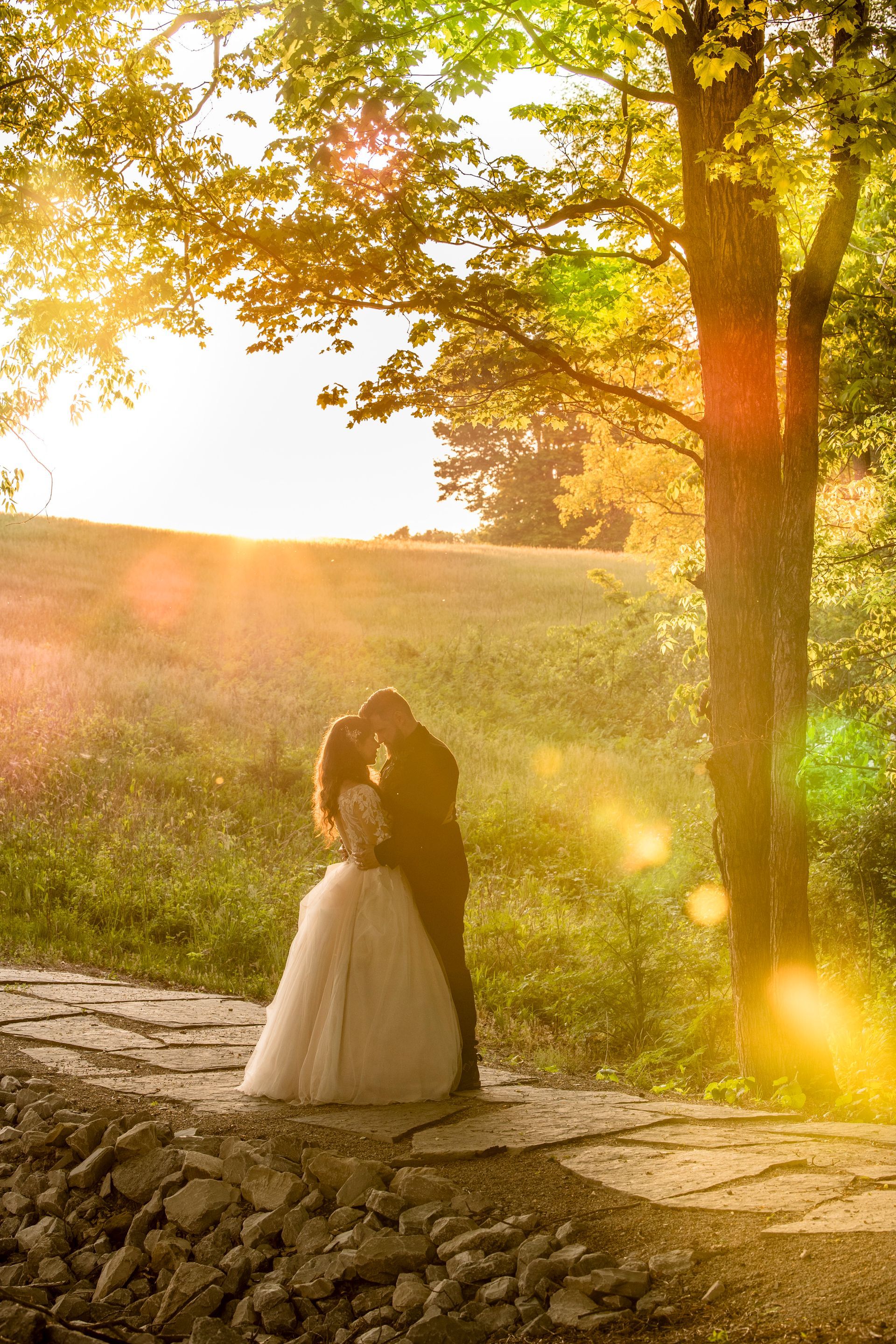 Bride and groom embracing in a sunlit field under autumn trees at golden hour
