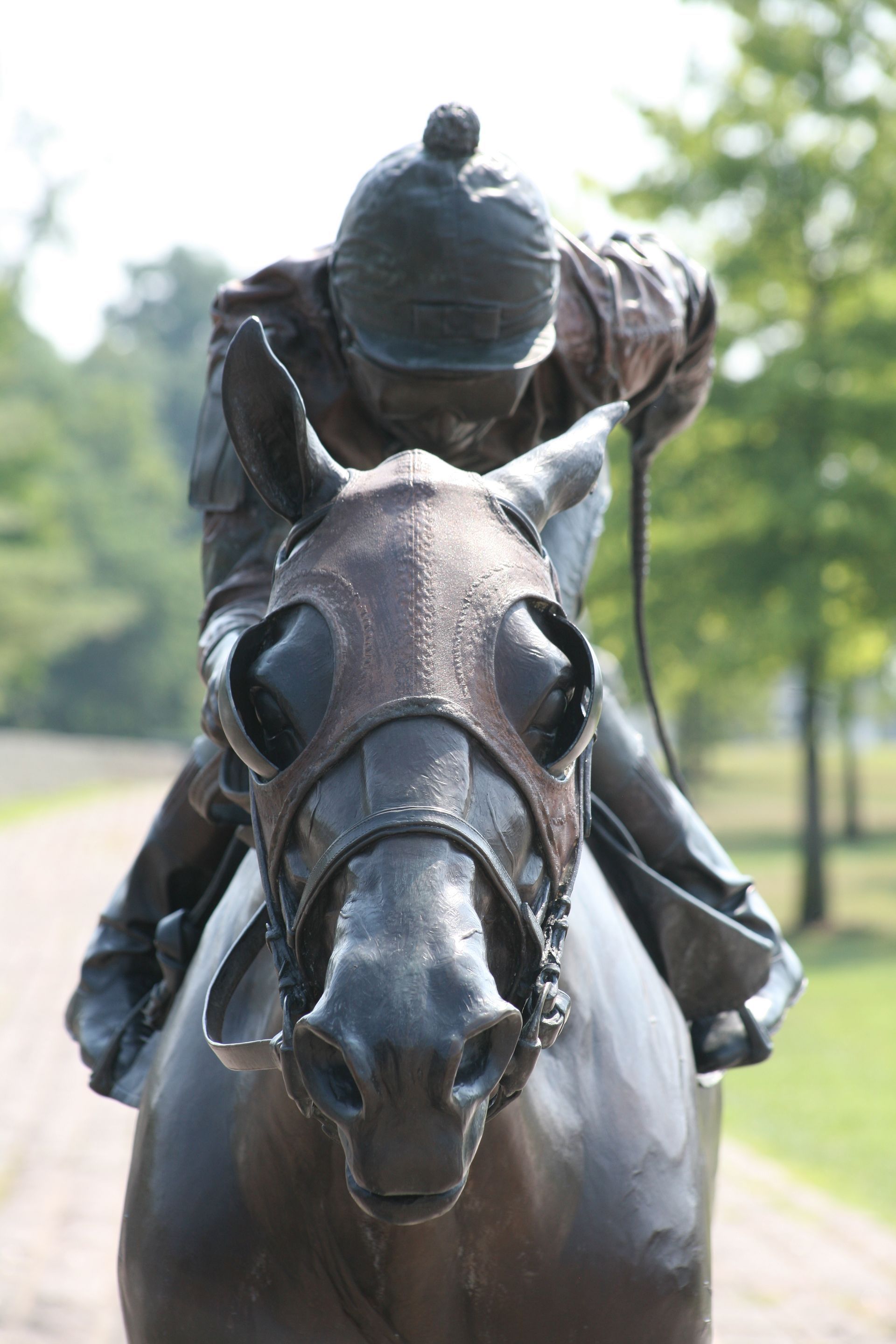 Jockey on a dark horse racing along a tree-lined path, viewed from the front.