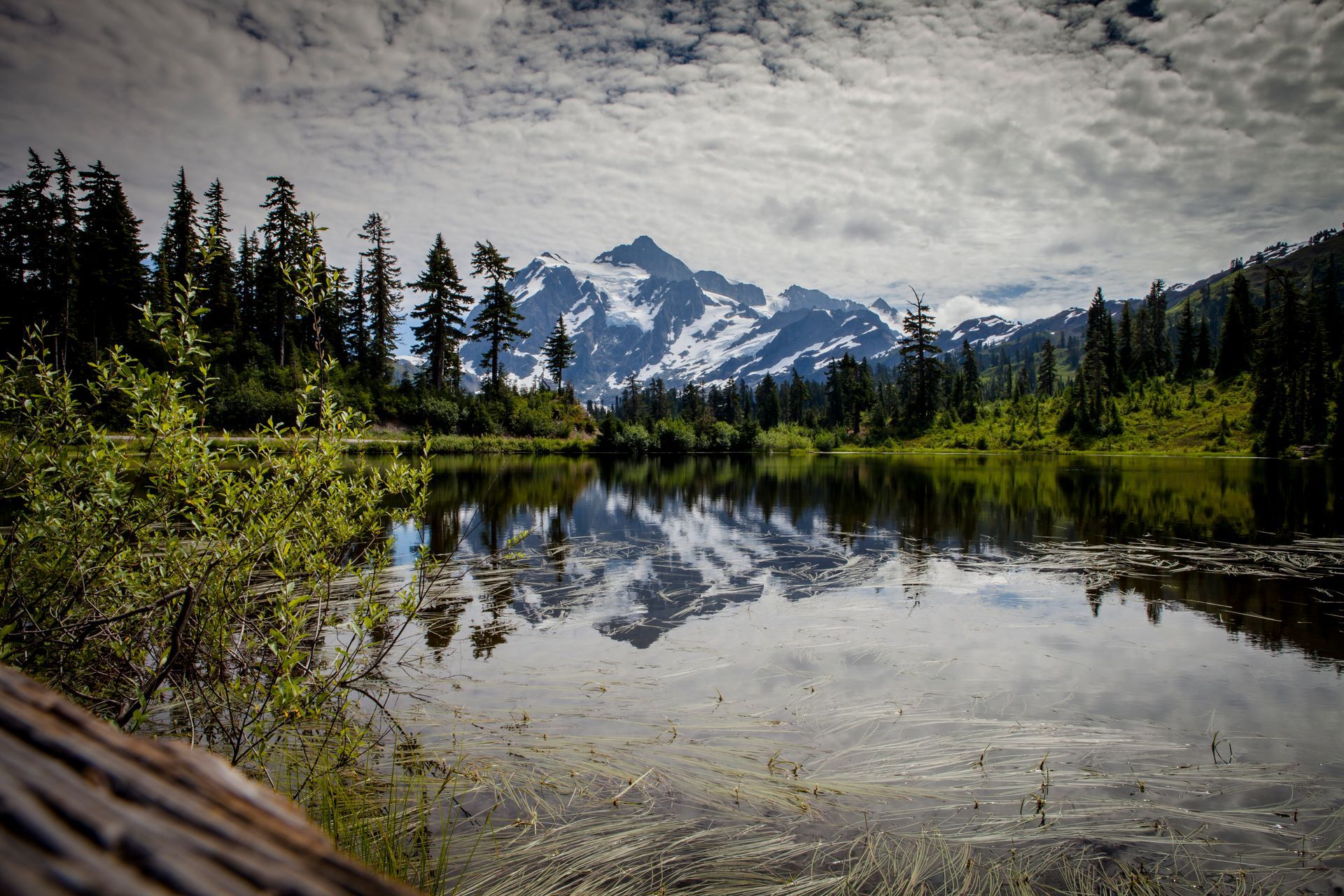 Snowy mountain reflected in a calm lake, framed by evergreen trees under a cloudy sky.