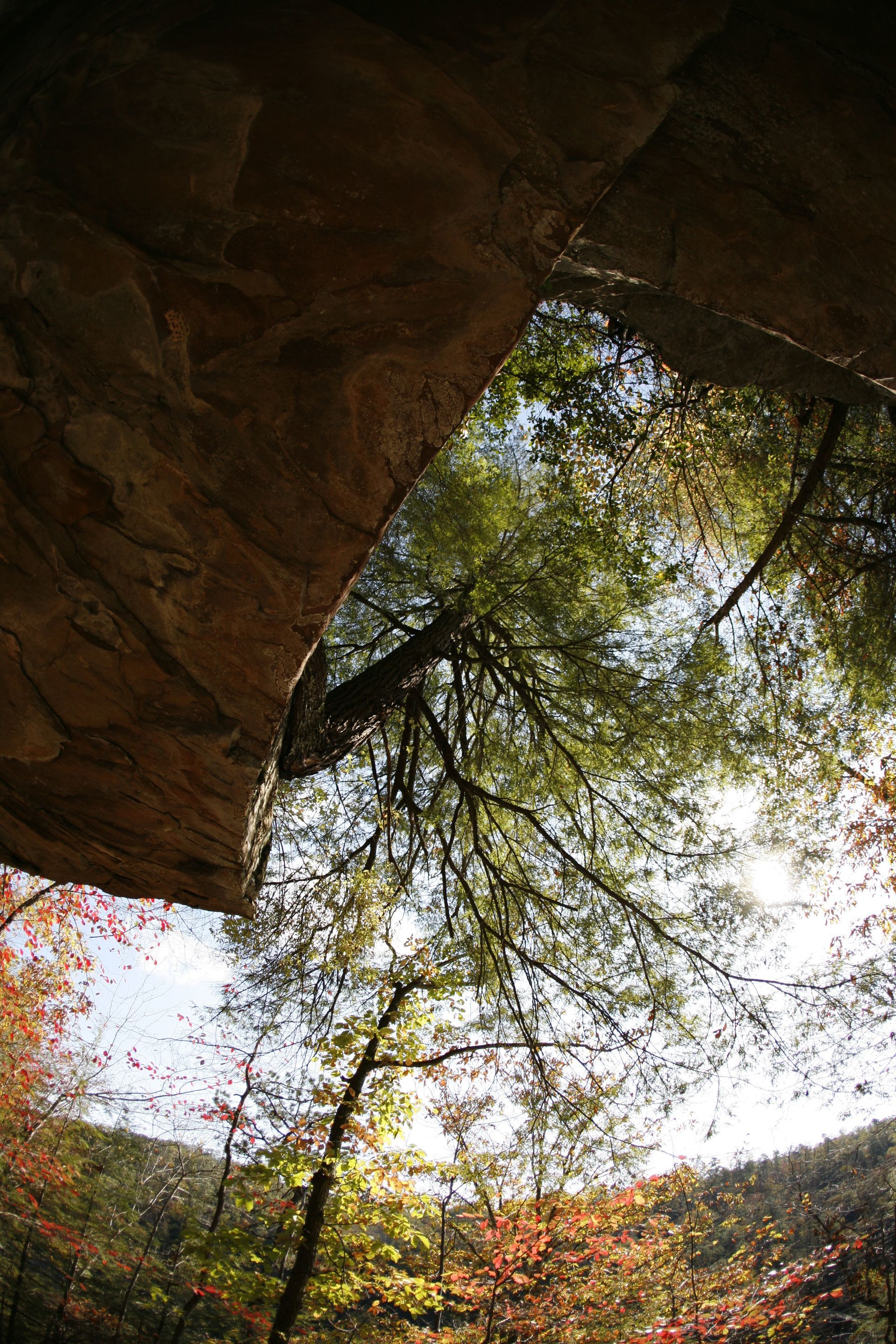 View from a cave opening to sunlit trees and sky, with rocky walls framing the scene