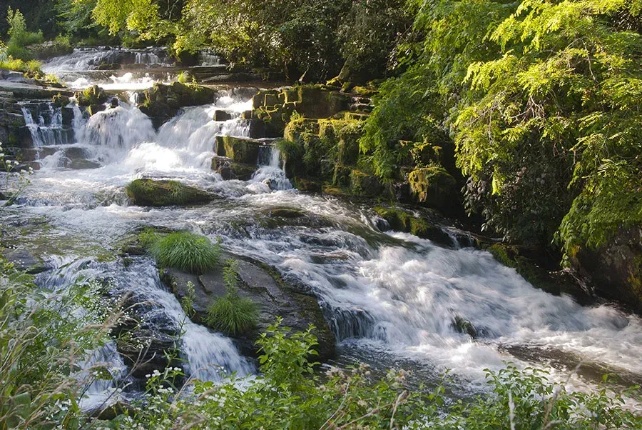 Mossy waterfall cascading over rocks through a green forest stream