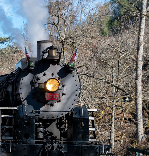 Front view of a black steam locomotive with a bright headlight on a wooded track