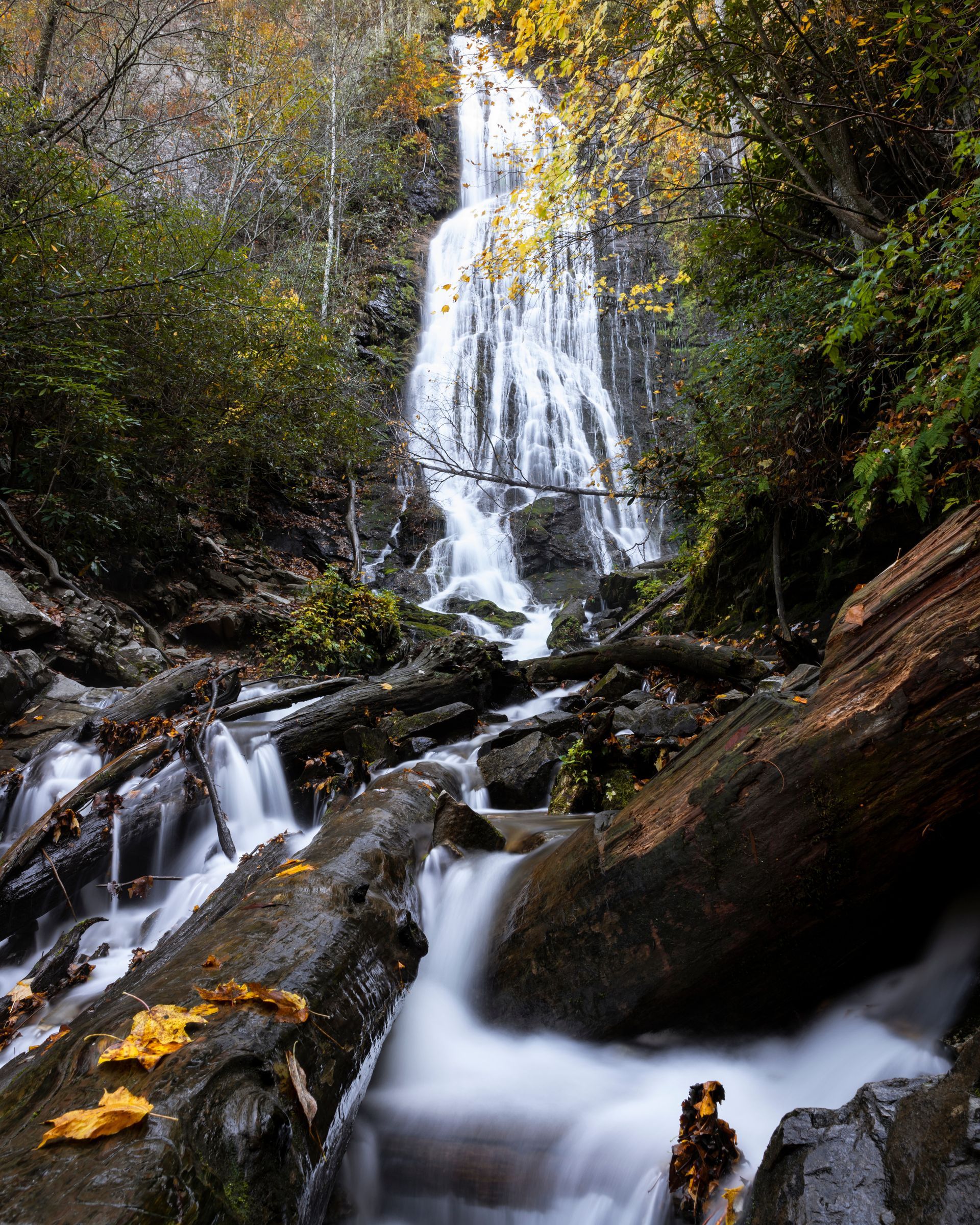 Tall waterfall cascading through a rocky forest gorge with mossy logs in the foreground