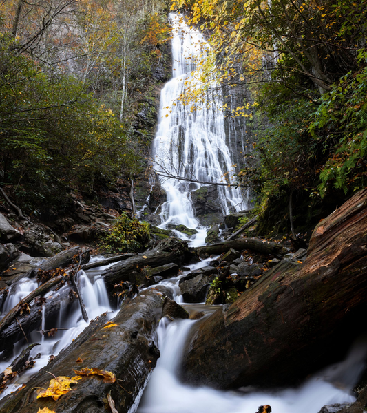 Tall white waterfall cascades through a wooded rocky gorge with dark green foliage