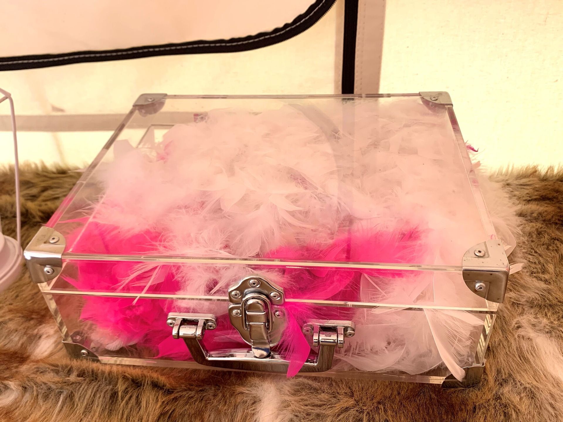 Clear acrylic box with a metal latch on a furry surface, filled with pink and white fluffy material.