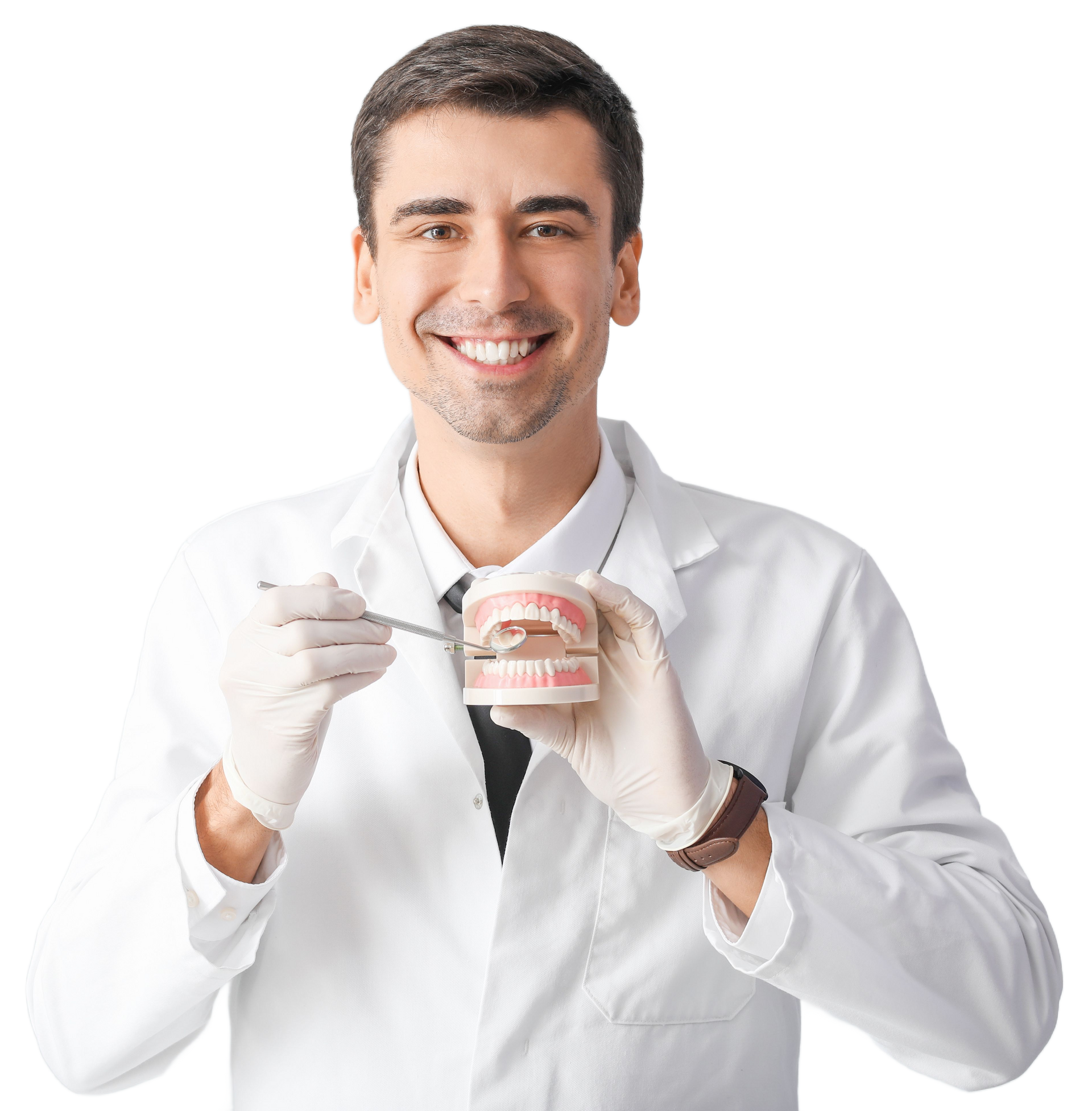 Dentist Is Holding a Model of Teeth