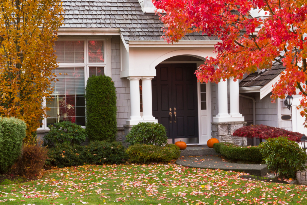 A house with a black door and a tree with red leaves in front of it