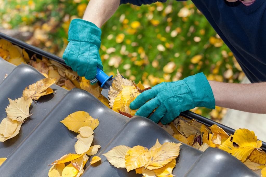 A person wearing blue gloves is cleaning a gutter of leaves