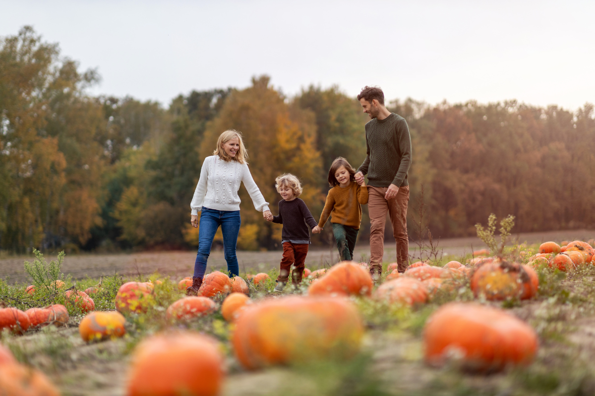 A family is walking through a field of pumpkins.