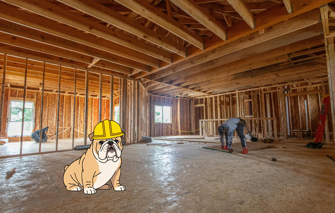 Construction site interior with a dog in a yellow hard hat and a worker in the background