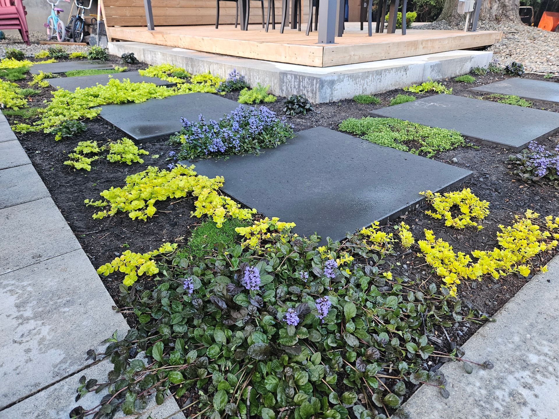 A garden with a lot of plants and flowers in it