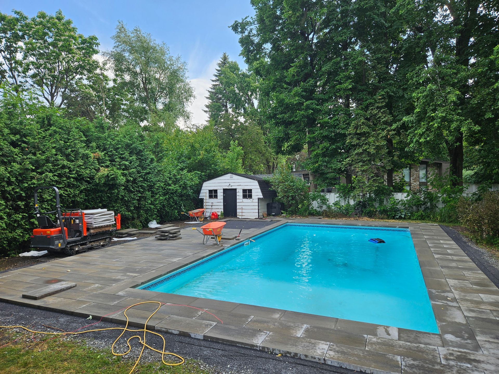 A large swimming pool in a backyard with a shed in the background.