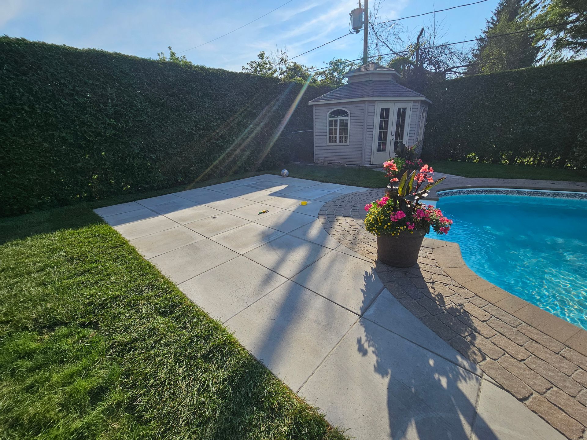 A potted plant is sitting next to a swimming pool in a backyard.