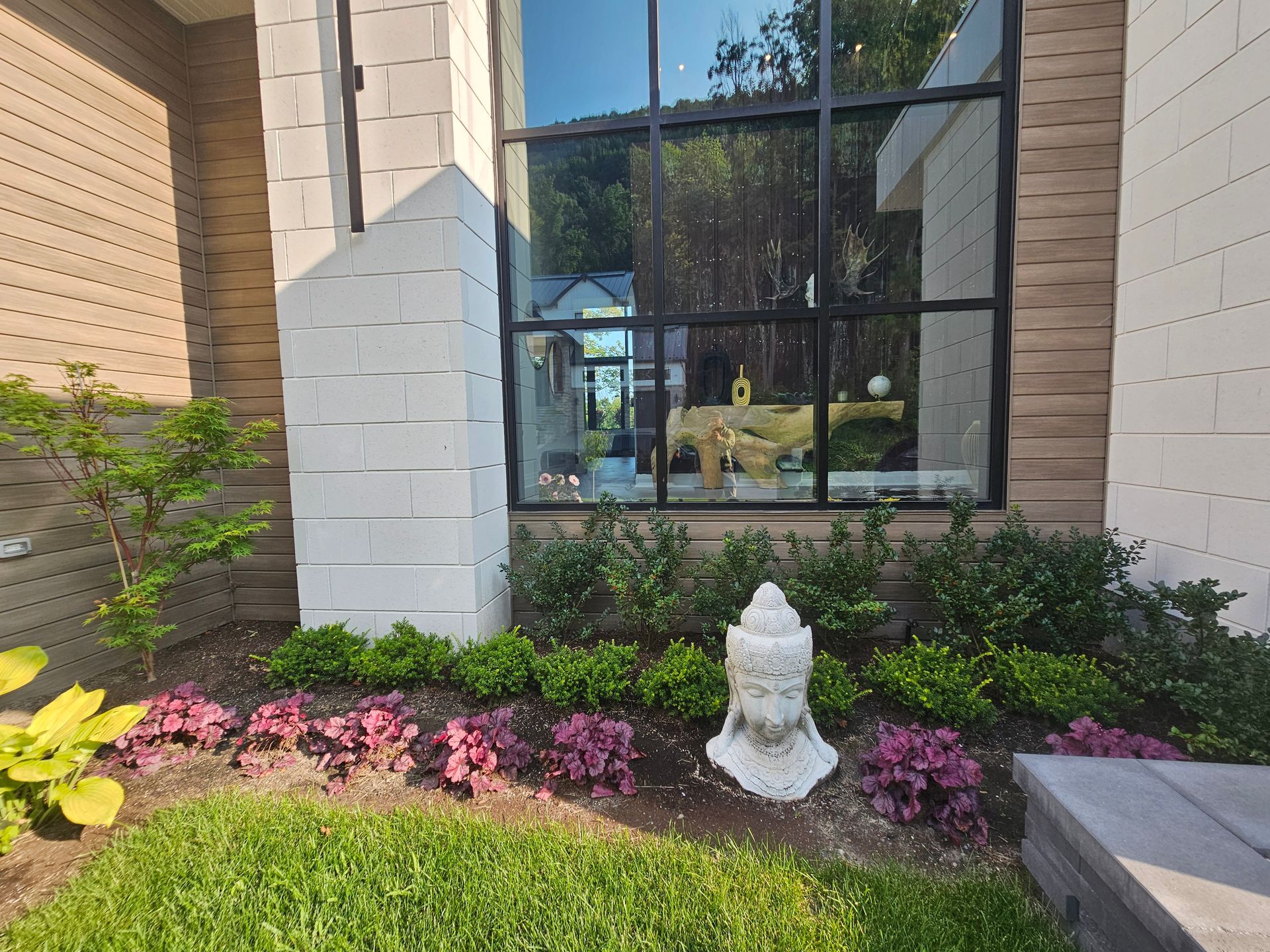 landscaping front yard in front of big window