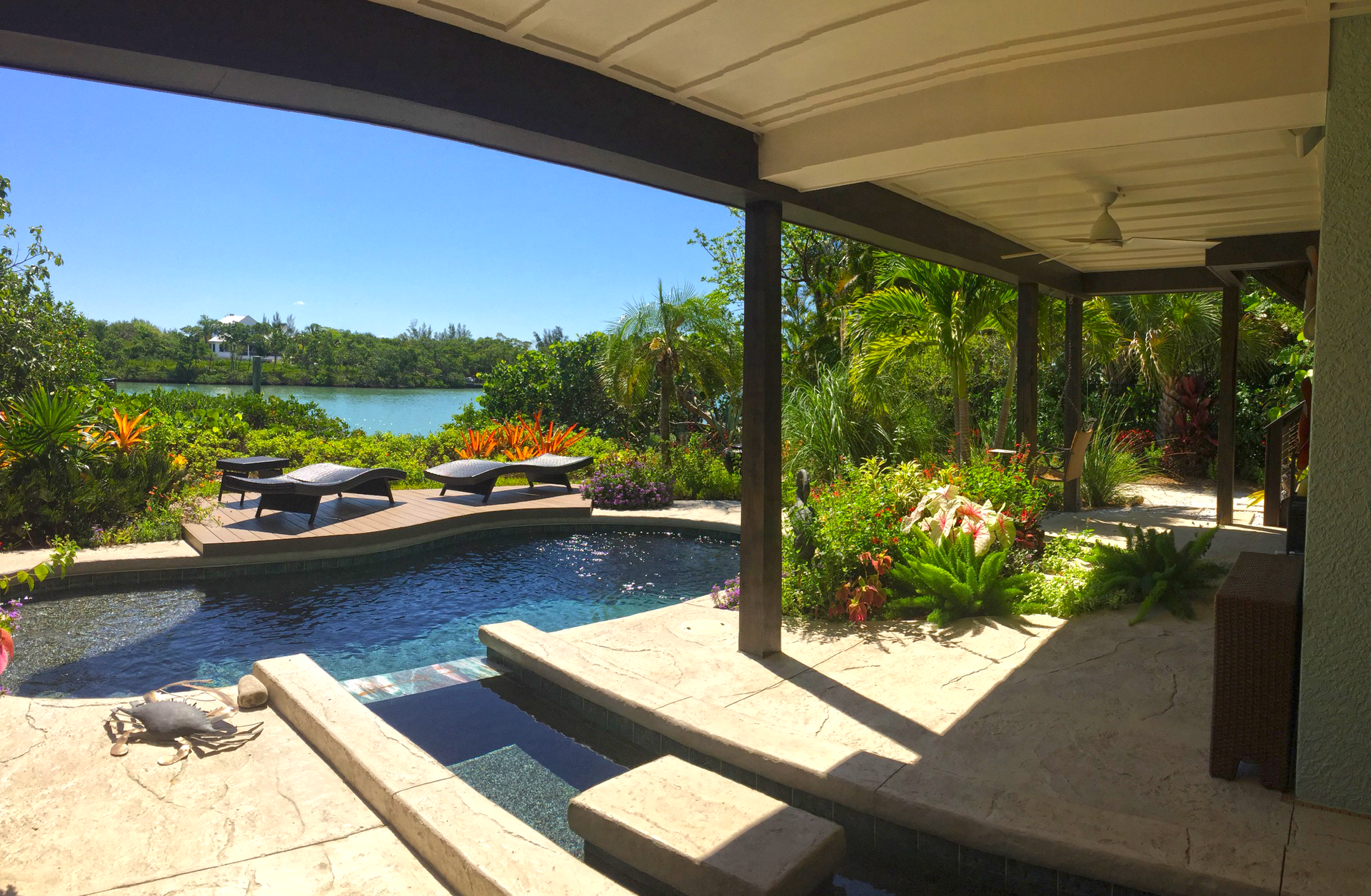 a  swimming pool and patio with a variety of surrounding plants with a view of a lake
