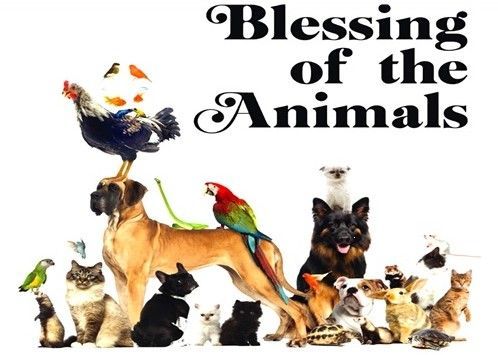 Blessing of the Animals announcement graphic