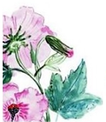 floral graphic