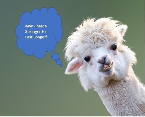 Cheeky white alpaca looking for its MW Engineering and Fabrication pen!