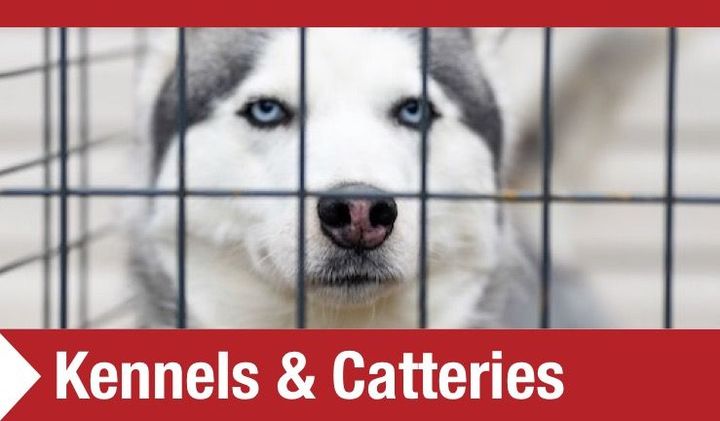 Kennels & Catteries Kennel Equipment MW Engineering & Fabrication Ltd