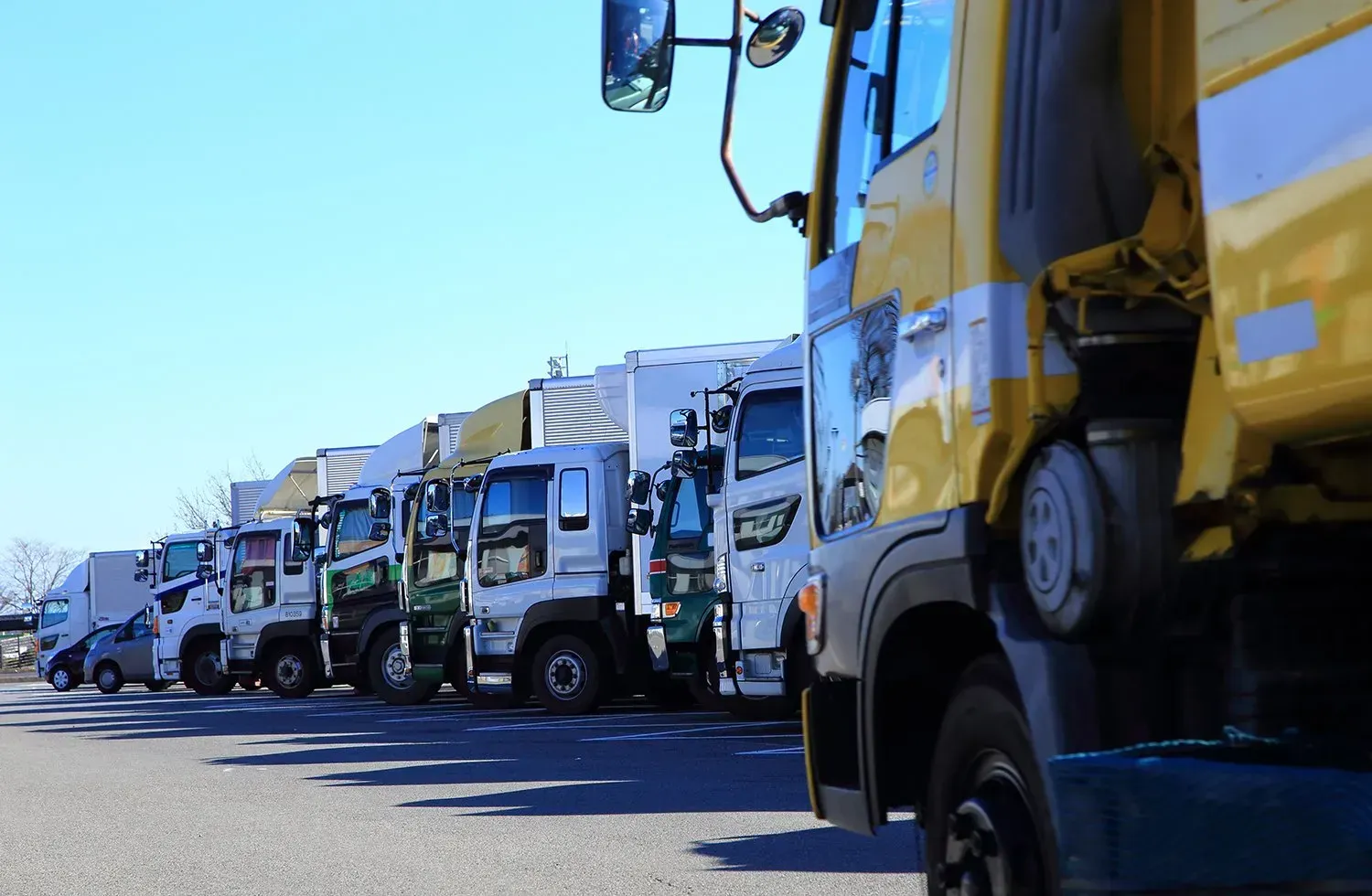 Line of parked semi-trucks on an asphalt lot under a clear, blue sky. — Des’s Driving School in Ulladulla, NSW