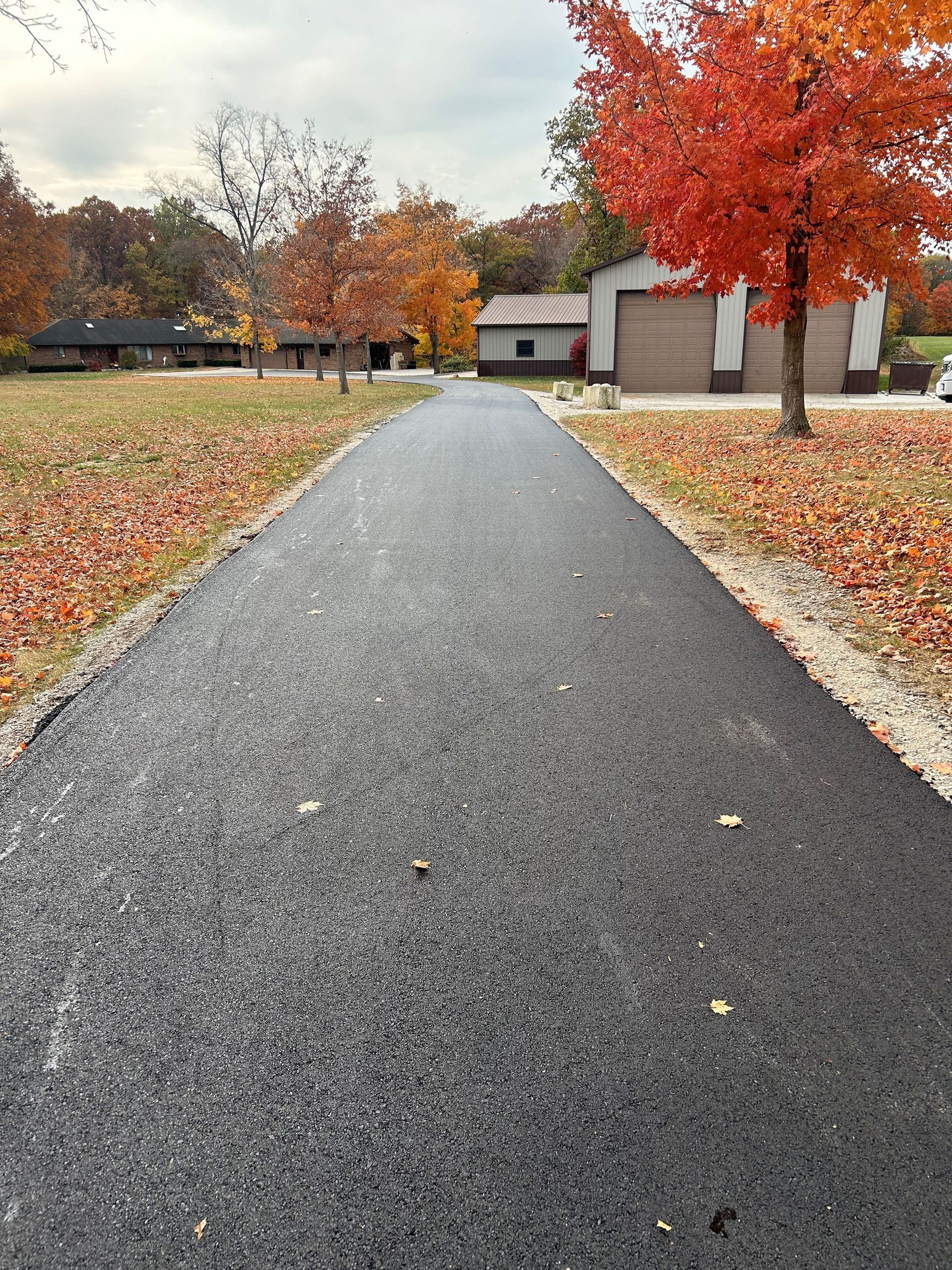 A driveway with trees and leaves on the side of it