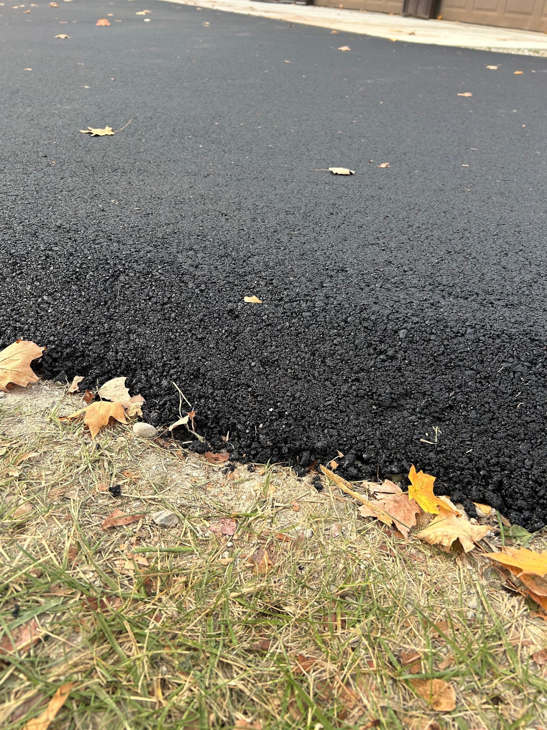 A close up of a black asphalt road with leaves on the ground.