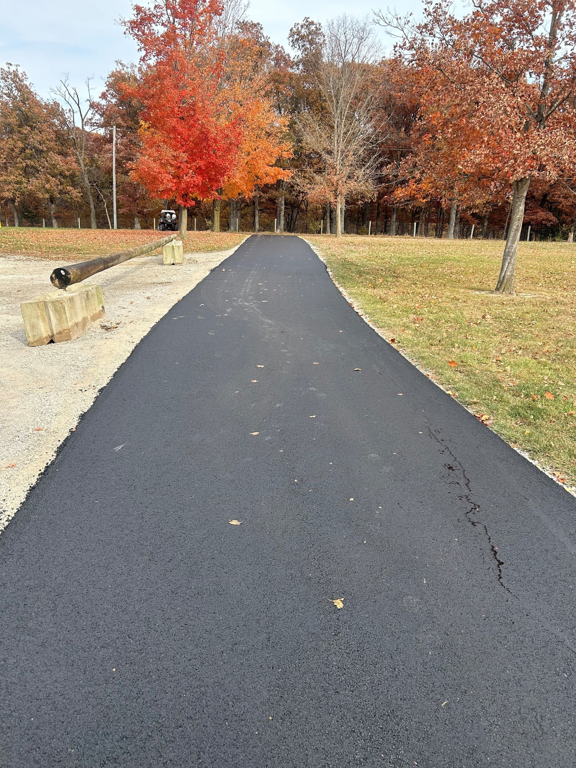 A black road going through a park with trees on both sides.