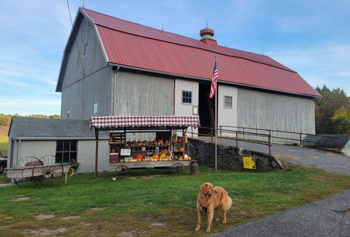 Farmer Clark's Hampden, MA