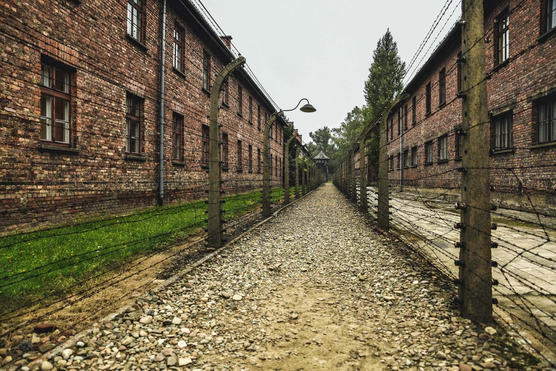 barb-wire-fences-around-auschwitz-in-poland