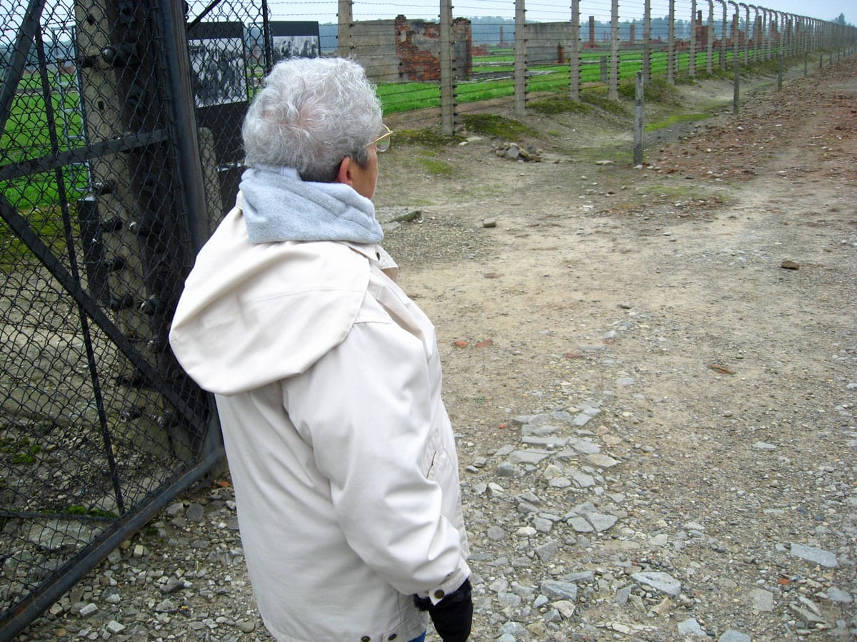 Person in a white coat stands by a fence on a gravel path, looking into a muddy field.