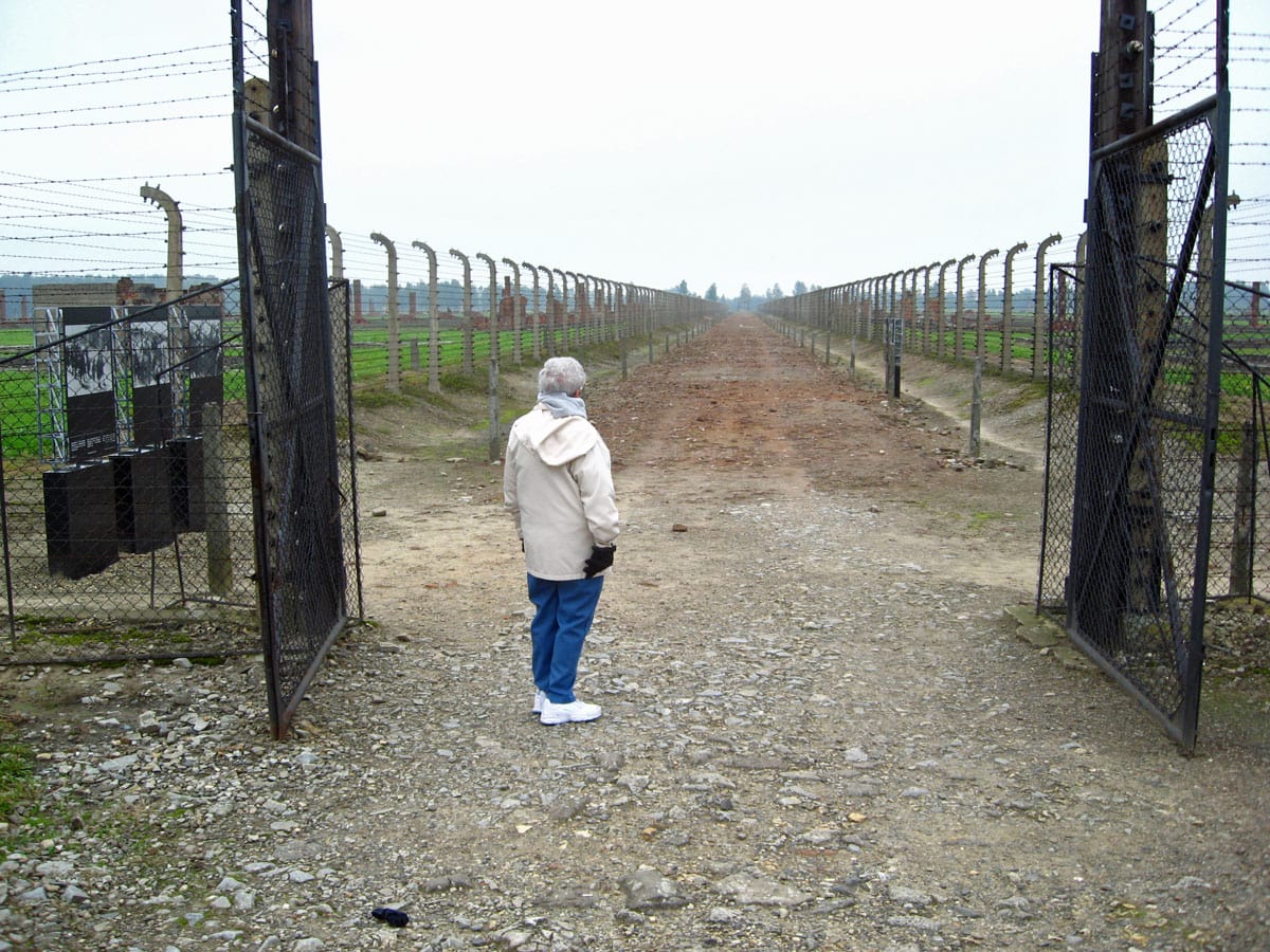 Person standing at an open fenced gate on a gravel path under an overcast sky