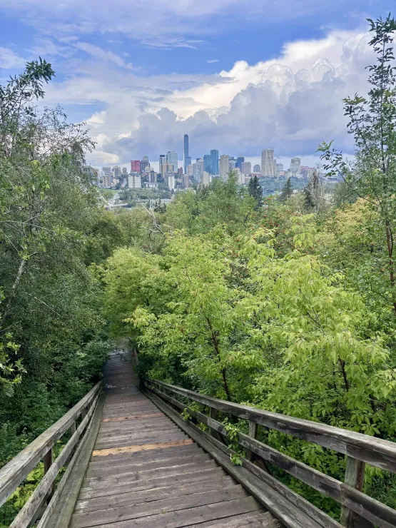 a mountain meadow surrounded by pine trees, with a trail going through it. The trail forks next to a wooden sign post.